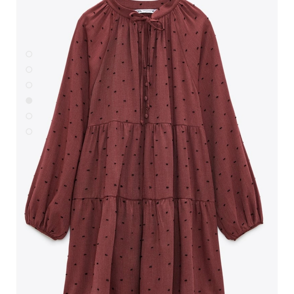 🔥NWT ZARA DOTTED MESH MINI DRESS🔥